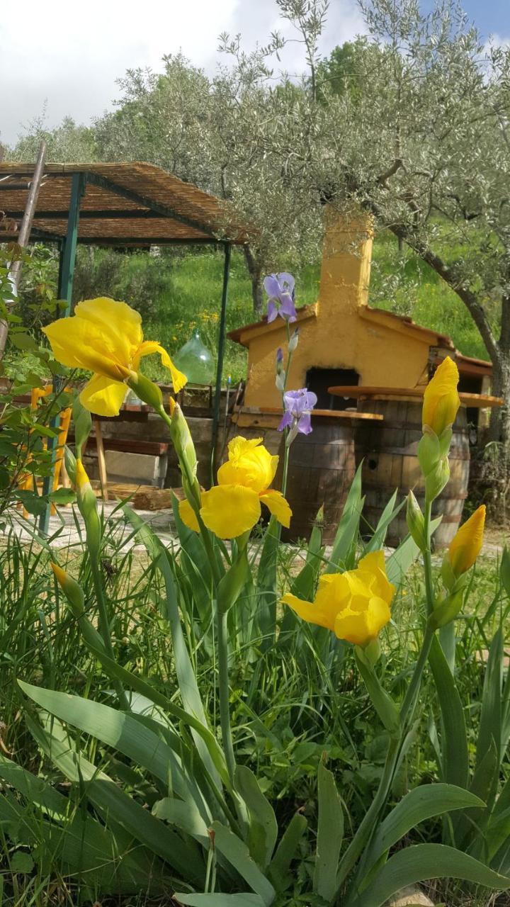 Bed&Breakfast Casa Lisetta Valtopina Exteriör bild