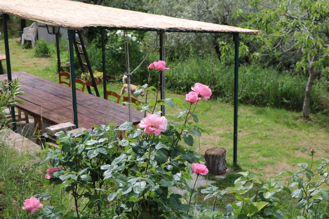 Bed&Breakfast Casa Lisetta Valtopina Exteriör bild